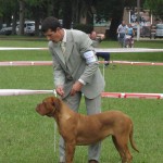 Eulogia 11 Meses - Bs As Kennel 20-03-10 M