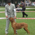 Eulogia 11 Meses - Bs As Kennel 20-03-10 N