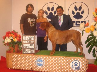 pascuala-gran-campeona-argentina-23-11-08.jpg